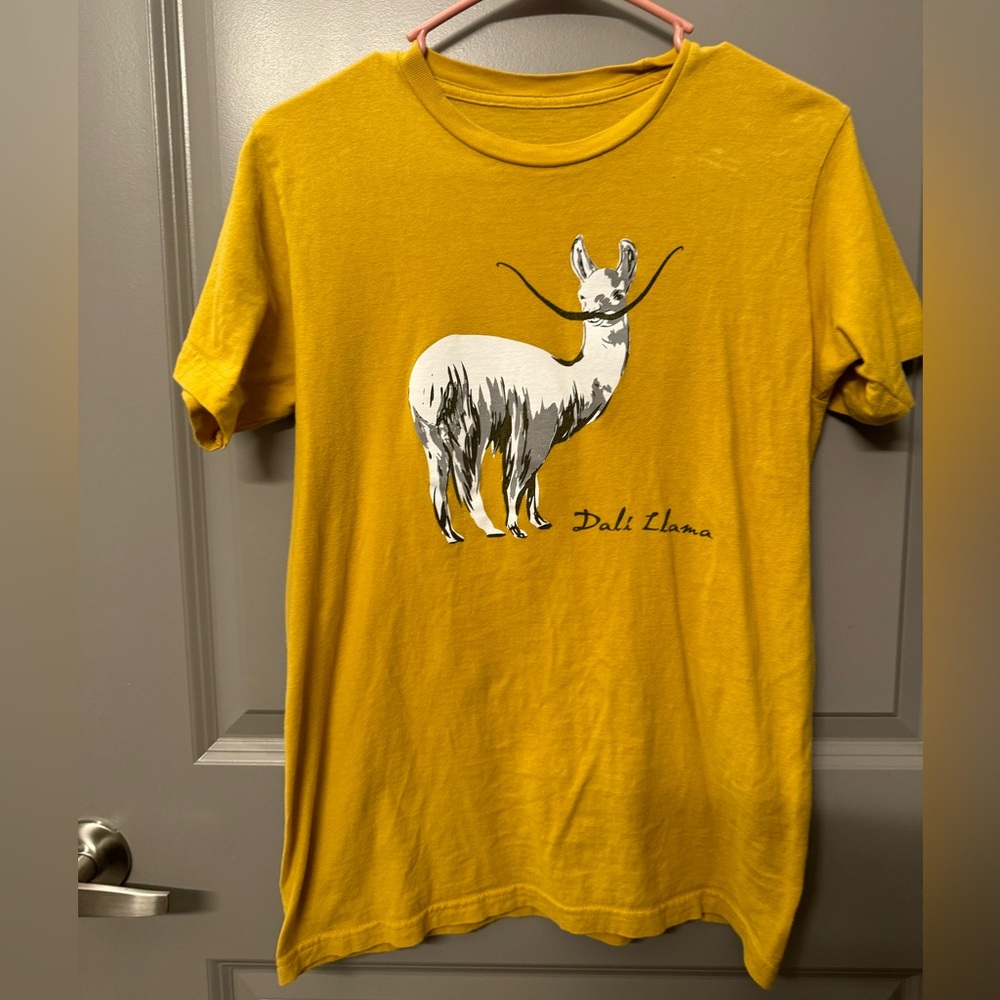 Punny shirt Size Small No label